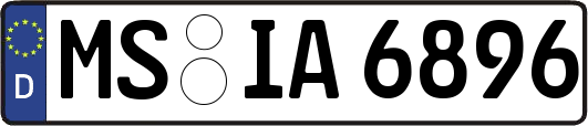 MS-IA6896