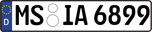 MS-IA6899