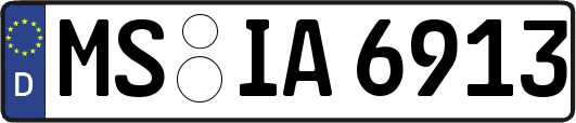 MS-IA6913