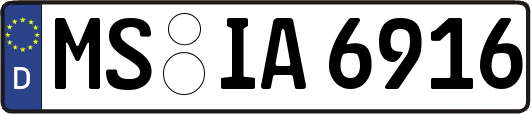 MS-IA6916