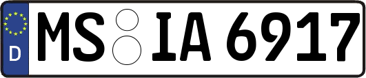 MS-IA6917