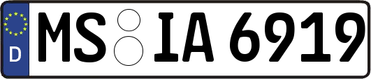 MS-IA6919