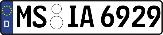 MS-IA6929
