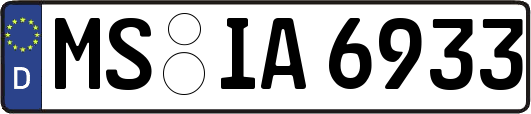 MS-IA6933
