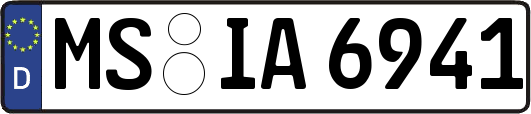 MS-IA6941