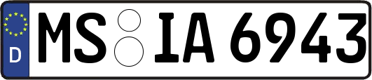 MS-IA6943