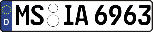 MS-IA6963