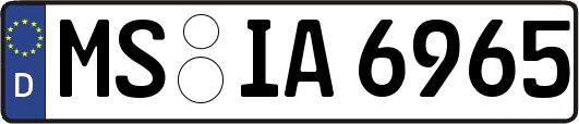 MS-IA6965