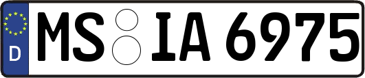 MS-IA6975