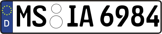 MS-IA6984