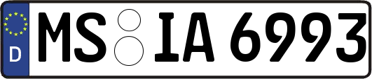 MS-IA6993