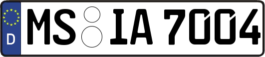 MS-IA7004