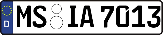 MS-IA7013