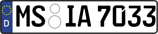 MS-IA7033