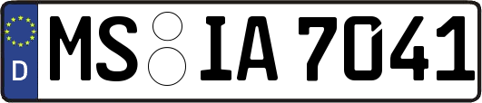 MS-IA7041