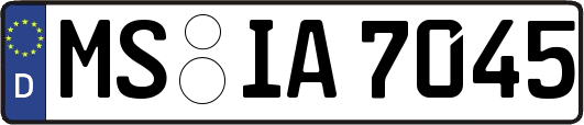 MS-IA7045