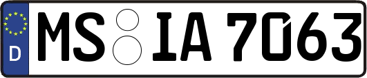 MS-IA7063