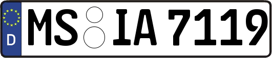 MS-IA7119