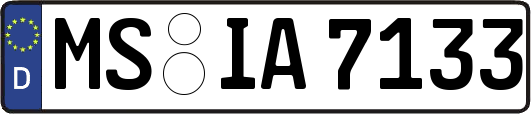 MS-IA7133