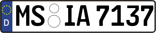 MS-IA7137