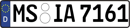 MS-IA7161