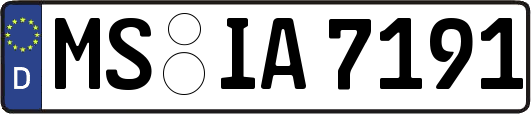 MS-IA7191