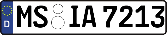 MS-IA7213