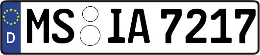 MS-IA7217