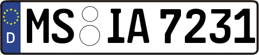 MS-IA7231