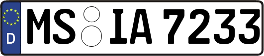 MS-IA7233
