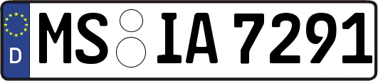MS-IA7291