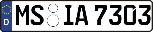 MS-IA7303