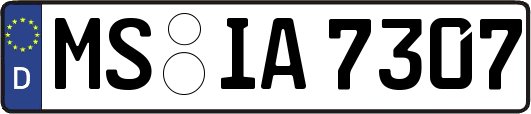 MS-IA7307