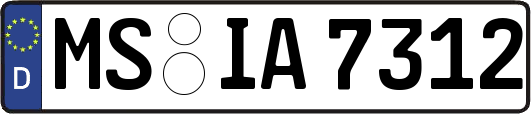 MS-IA7312