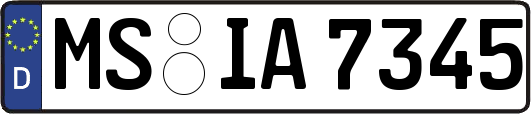 MS-IA7345