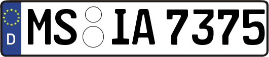 MS-IA7375
