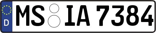 MS-IA7384