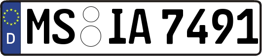 MS-IA7491