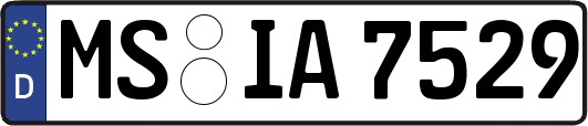 MS-IA7529