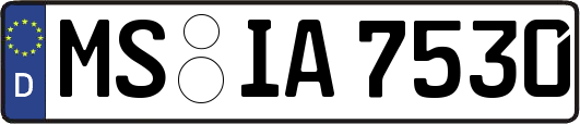 MS-IA7530