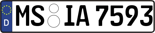 MS-IA7593