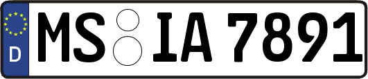 MS-IA7891