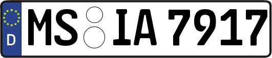MS-IA7917