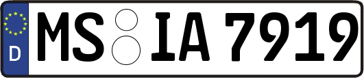 MS-IA7919