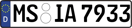 MS-IA7933