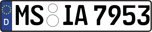 MS-IA7953