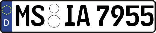MS-IA7955