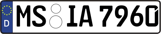 MS-IA7960