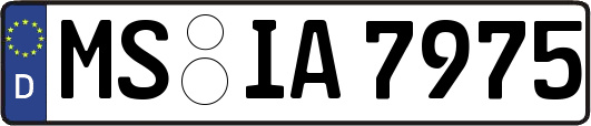 MS-IA7975