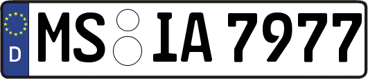 MS-IA7977